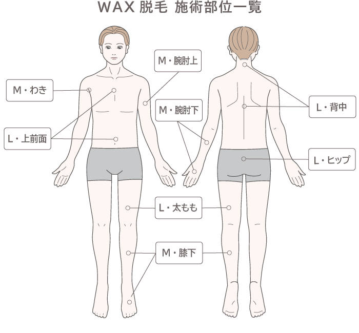 成田市|ワックス脱毛|部位別メニュー料金|valan